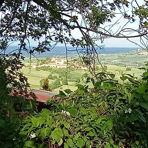 Casa Morelli Montalbo